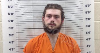 CHADWICK, LOGAN RONNIE | 2025-03-20 14:19:09 | Pickens County, Georgia Booking