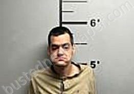 GENZALE, ERIC ANTHONY | 2025-03-13 00:48:43 | Benton County, Arkansas Booking