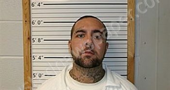 HAMM, DUANE JESSIE | 2025-03-18 12:26:13 | Cleburne County, Arkansas Booking