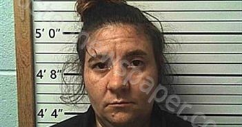 ELLINGTON, HEATHER DIANE | 2025-03-18 02:27:16 | Cleburne County, Arkansas Booking