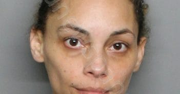 HALYE, CYNTHIA ELIZABETH | 2025-03-19 06:30:02 | Charlotte County, Florida Booking