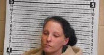 ASHLEY SANCHEZ | 2025-03-17 20:23:13 | Clark County, Arkansas Booking