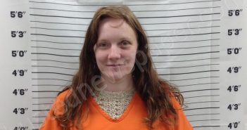 PROTASIO, JESSICA LYNN | 2025-03-20 14:04:52 | Pickens County, Georgia Booking