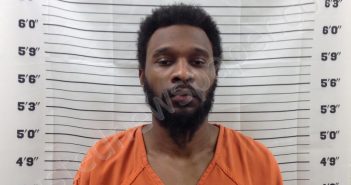 AKINDE, DAMMY AFOLABI | 2025-03-20 14:05:54 | Pickens County, Georgia Booking