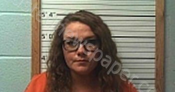 PINKERTON, CARLEE R | 2025-03-18 02:25:42 | Cleburne County, Arkansas Booking