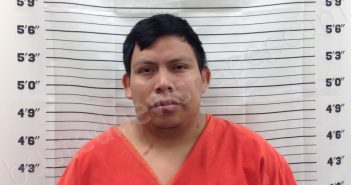 JUAREZ, EDELFO | 2025-03-20 13:59:36 | Pickens County, Georgia Booking