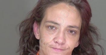 DEGROAT, STEPHANIE MARIE | 2025-03-21 19:18:34 | Highlands County, Florida Booking