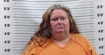 LEWIS, DIANA | 2025-03-20 14:15:56 | Pickens County, Georgia Booking