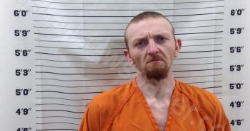 LOGAN, BRANDON WADE | 2025-03-20 15:11:23 | Pickens County, Georgia Booking