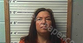 PARDUE, MICHELLE LYNN | 2025-03-18 02:41:11 | Cleburne County, Arkansas Booking