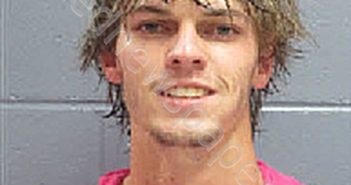 WILLIAM BENJAMIN HENDERSON | 2025-03-20 11:16:41 | Lee County, Georgia Booking