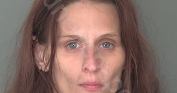 BIEGER, BRITTANY MARIE | 2025-03-21 19:21:48 | Highlands County, Florida Booking
