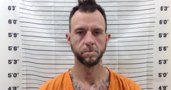 WEEKS, ADAM WAYNE | 2025-03-20 14:14:48 | Pickens County, Georgia Booking