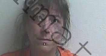 HALLIDAY, DENISE LORRAINE | 2025-03-20 00:16:12 | Gilchrist County, Florida Booking