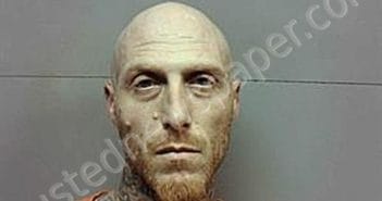 ALFRED OLIVER WALLACE | 2025-03-19 19:15:21 | Franklin County, Florida Booking