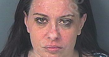 SCHERMERHORN, JENNIFER ERMINNIA | 2025-03-20 23:25:18 | Hernando County, Florida Booking
