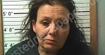 PATTERSON, ROBIN L | 2025-03-18 02:24:26 | Cleburne County, Arkansas Booking