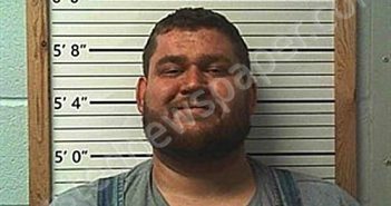 LEE, REGAN CONNOR BLEVINS | 2025-03-18 02:26:58 | Cleburne County, Arkansas Booking