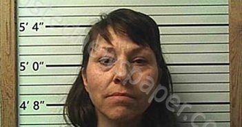 EVANS, MICHELLE RENEE | 2025-03-18 02:29:20 | Cleburne County, Arkansas Booking