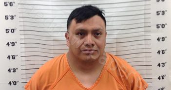 SIGUANTAY- PEREZ, MARLYN | 2025-03-20 14:05:49 | Pickens County, Georgia Booking