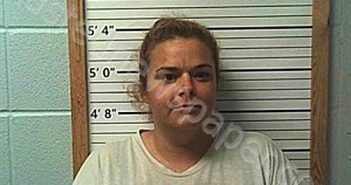 WALKER, AMBER RENEE | 2025-03-18 02:31:28 | Cleburne County, Arkansas Booking