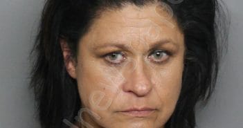 WARE, CRYSTAL LYNN | 2025-03-19 06:18:19 | Charlotte County, Florida Booking