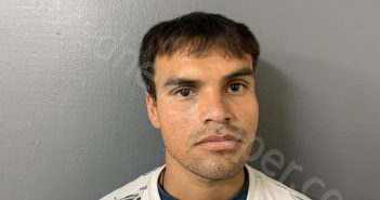 SUAREZ, CHRISTIAN LUIS | 2025-03-21 16:31:37 | Hardee County, Florida Booking