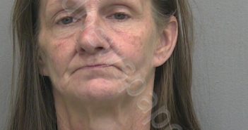 NIPPER, CHRISTI LYNN | 2025-03-18 16:41:47 | Alachua County, Florida Booking