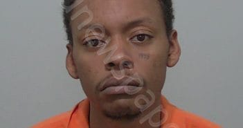 DAVIS, ERIEN JO’ELL | 2025-03-19 12:41:32 | Columbia County, Florida Booking
