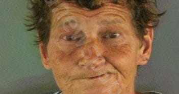 Meta Image