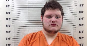 SHEALEY, WILLIAM LANE | 2025-03-20 14:17:16 | Pickens County, Georgia Booking