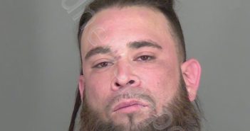 VECINO, MICHEAL STEVEN | 2025-03-21 19:16:00 | Highlands County, Florida Booking