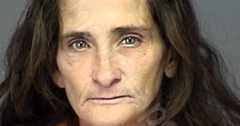 VANDIVER, NICOLE ESTELL | 2025-03-21 19:19:01 | Highlands County, Florida Booking