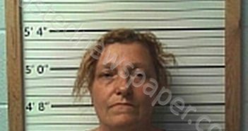 GAY, LAURA S | 2025-03-18 02:23:35 | Cleburne County, Arkansas Booking