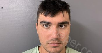 MORENO, ISAAC ANTHONY | 2025-03-20 01:53:43 | Hardee County, Florida Booking