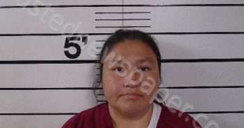 KNOWSHISGUN, BRANDI BLUE | 2025-03-22 02:47:51 | Big Horn County, Montana Booking