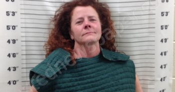 JONES, JEAN MICHELLE | 2025-03-20 14:13:27 | Pickens County, Georgia Booking