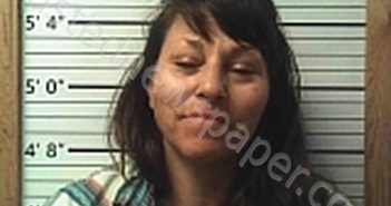 EVANS, MICHELLE R | 2025-03-18 02:24:37 | Cleburne County, Arkansas Booking