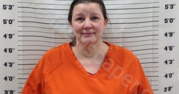 HEINE, CLARA MARIE | 2025-03-20 15:12:39 | Pickens County, Georgia Booking