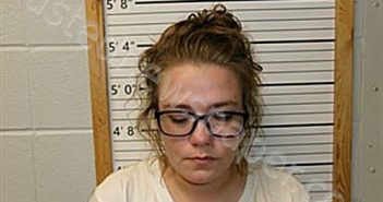 PINKERTON, CARLEE RENEE | 2025-03-18 12:31:01 | Cleburne County, Arkansas Booking