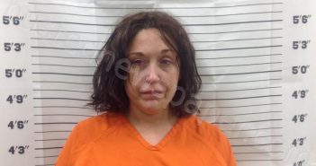 SUMMERLIN, AUDERY COLLIE | 2025-03-20 14:01:31 | Pickens County, Georgia Booking