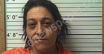 ANDERSON, MISTY MICHELLE | 2025-03-18 02:36:22 | Cleburne County, Arkansas Booking