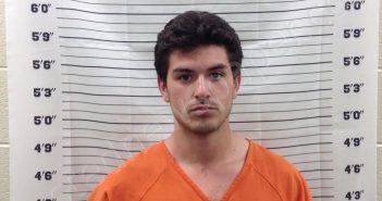 VREELAND, ASHLIE | 2025-03-20 14:02:34 | Pickens County, Georgia Booking