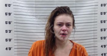 EDWARDS, BRIDGETTE MARLANA | 2025-03-20 14:18:33 | Pickens County, Georgia Booking