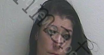 NICKERSON, ANNA MARIE | 2025-03-19 23:16:41 | Gilchrist County, Florida Booking