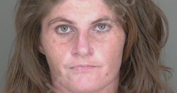 SMITH, KAYLA MARIE | 2025-03-21 19:12:39 | Highlands County, Florida Booking