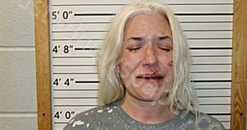 ANDERSON, TIFFANY NICOLE | 2025-03-18 12:28:24 | Cleburne County, Arkansas Booking