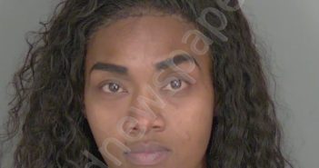 MINONDO, RASHIEKA | 2025-03-21 19:17:01 | Highlands County, Florida Booking