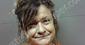 CAROLE MORRELL TURNER | 2025-03-19 19:18:10 | Franklin County, Florida Booking