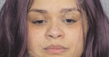 YOUNG SUAREZ , LILIANA CARIDAD | 2025-03-19 05:11:25 | Broward County, Florida Booking